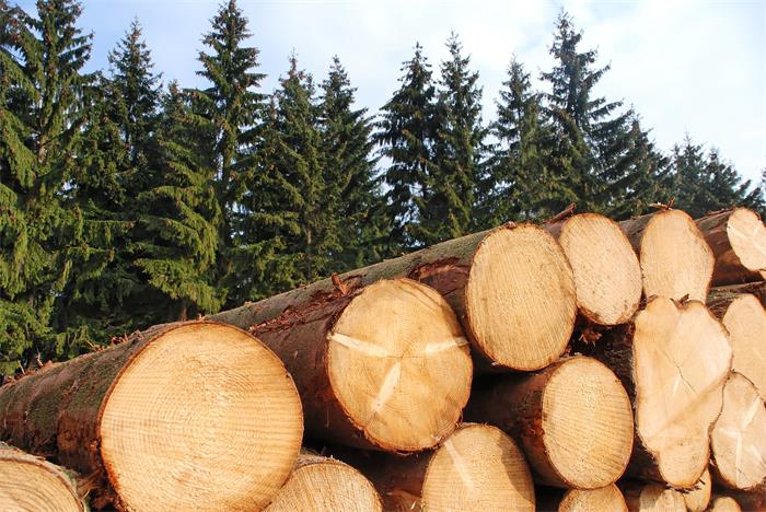 鵬鴻顆粒板環保無醛 顆粒板環保嗎