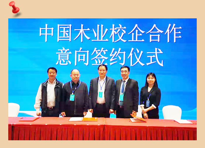 鵬鴻與中國木業合作