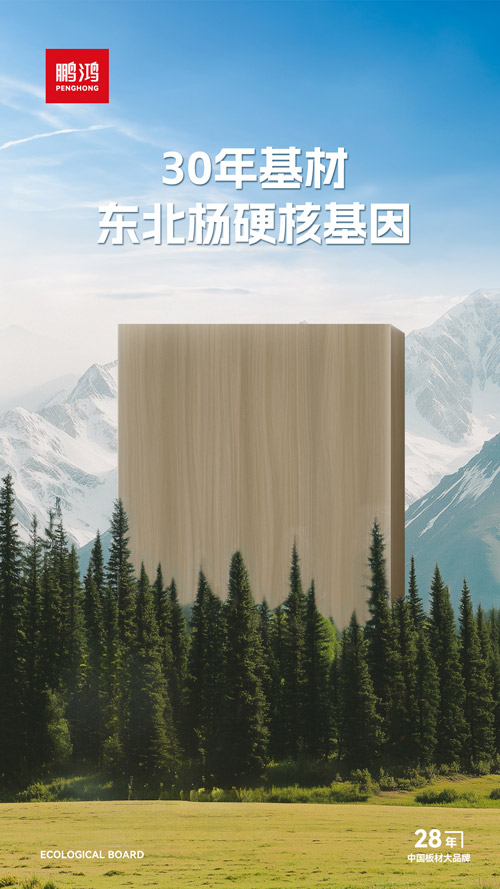 東北楊木生態板